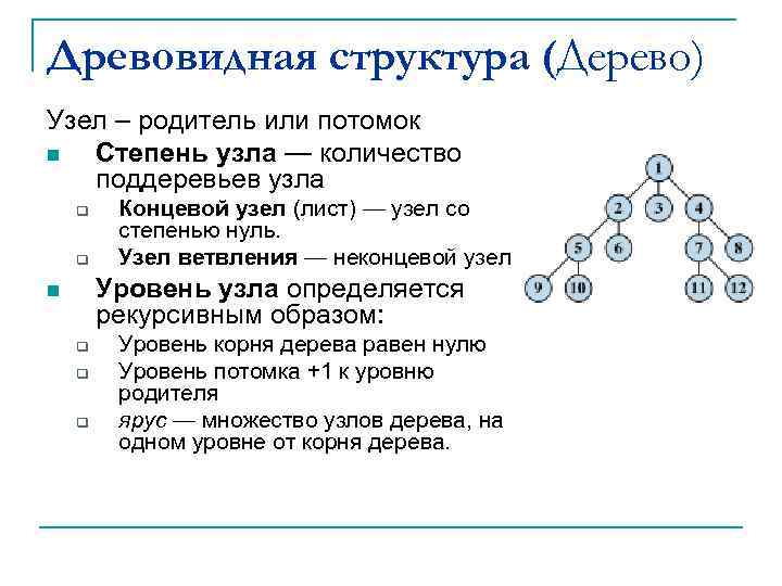 Древовидная структура (Дерево) Узел – родитель или потомок n Степень узла — количество поддеревьев