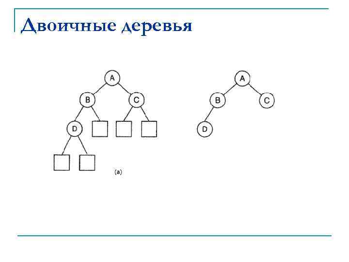 Двоичные деревья 