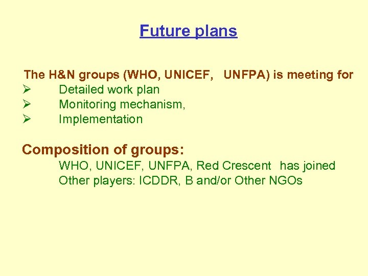 Future plans The H&N groups (WHO, UNICEF, UNFPA) is meeting for Ø Detailed work