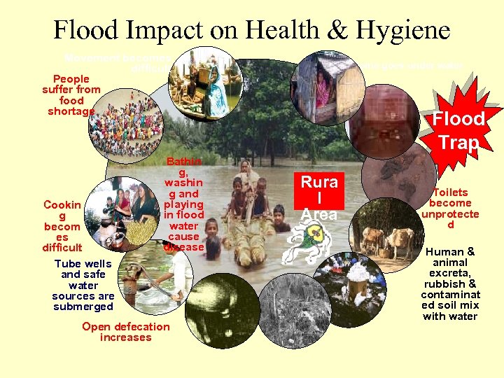 Flood Impact on Health & Hygiene Movement becomes difficult People suffer from food shortage