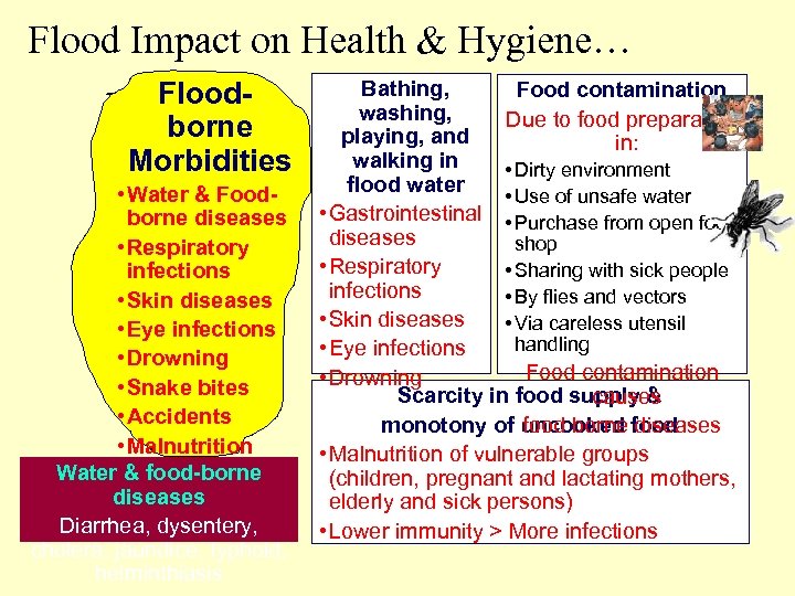 Flood Impact on Health & Hygiene… Floodborne Morbidities • Water & Foodborne diseases •