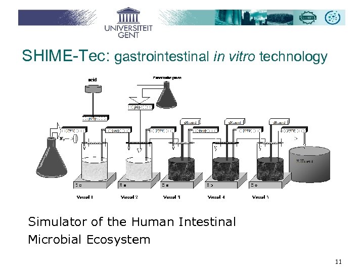 SHIME-Tec: gastrointestinal in vitro technology Simulator of the Human Intestinal Microbial Ecosystem 11 