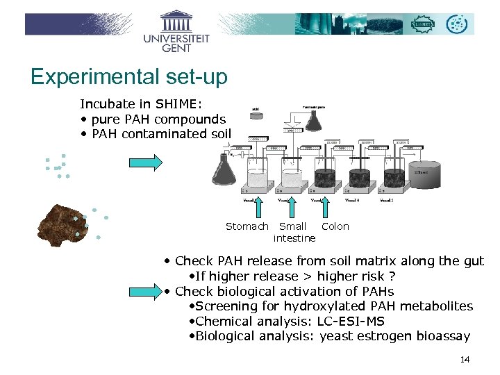 Experimental set-up Incubate in SHIME: • pure PAH compounds • PAH contaminated soil Stomach