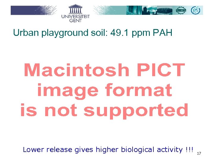 Urban playground soil: 49. 1 ppm PAH Lower release gives higher biological activity !!!