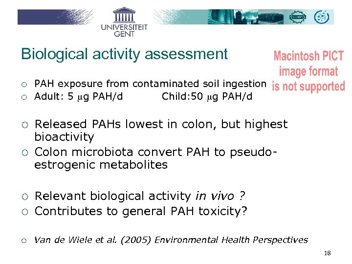Biological activity assessment ¡ ¡ PAH exposure from contaminated soil ingestion Adult: 5 g