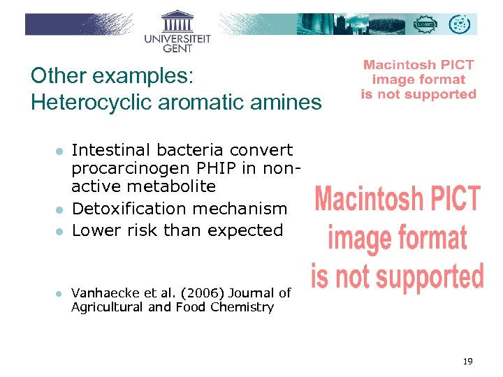 Other examples: Heterocyclic aromatic amines l l Intestinal bacteria convert procarcinogen PHIP in nonactive