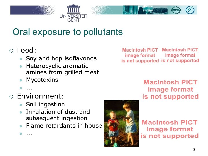 Oral exposure to pollutants ¡ Food: l l ¡ Soy and hop isoflavones Heterocyclic