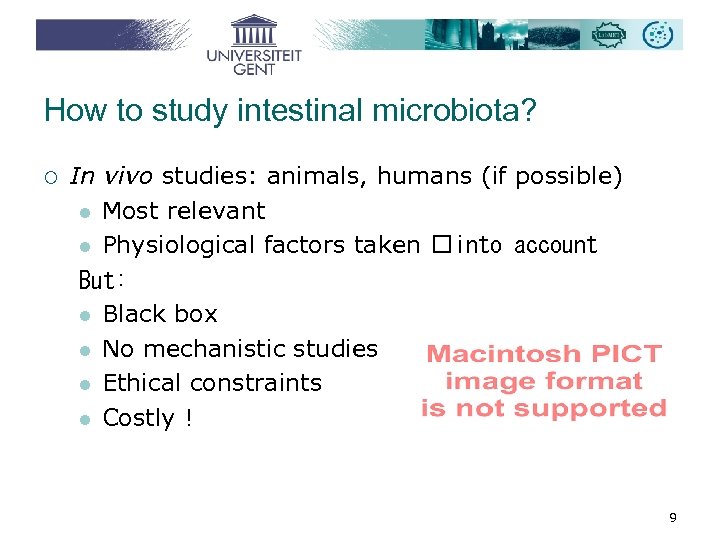 How to study intestinal microbiota? ¡ In vivo studies: animals, humans (if possible) l