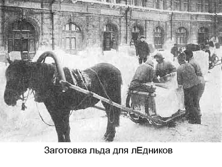 Заготовка льда для л. Едников 