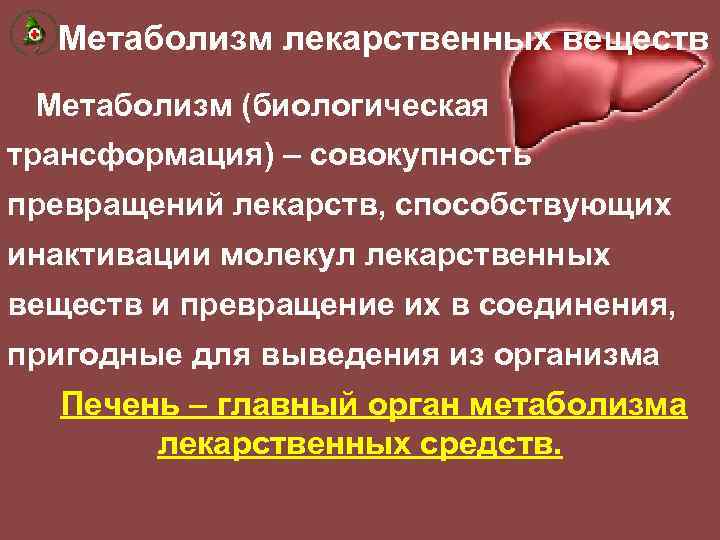 Метаболизм лекарственных веществ Метаболизм (биологическая трансформация) – совокупность превращений лекарств, способствующих инактивации молекул лекарственных