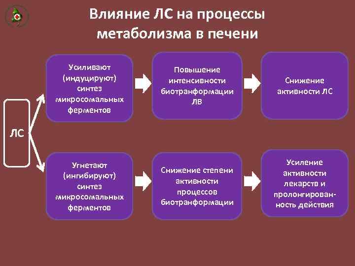 Влияние ЛС на процессы метаболизма в печени Усиливают (индуцируют) синтез микросомальных ферментов Повышение интенсивности