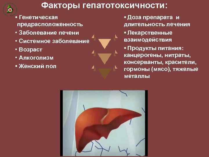 Факторы гепатотоксичности: • Генетическая предрасположенность • Заболевание печени • Системное заболевание • Возраст •