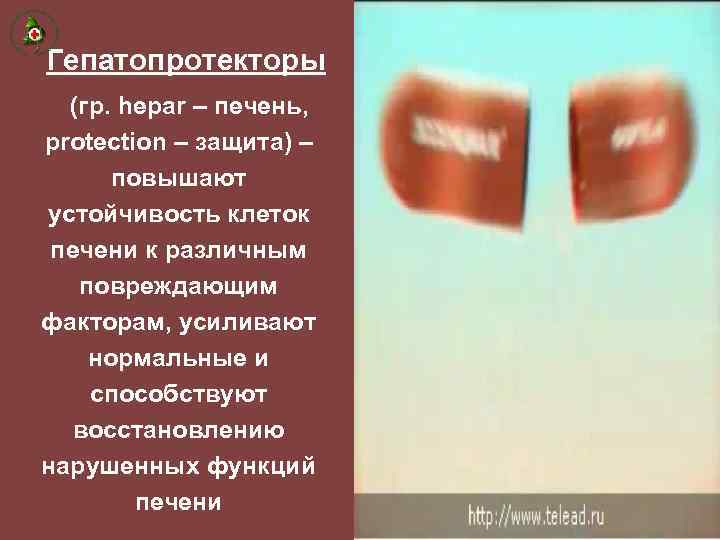 Гепатопротекторы (гр. hepar – печень, protection – защита) – повышают устойчивость клеток печени к