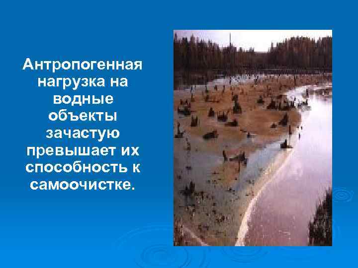 Антропогенная нагрузка на водные объекты зачастую превышает их способность к самоочистке. 