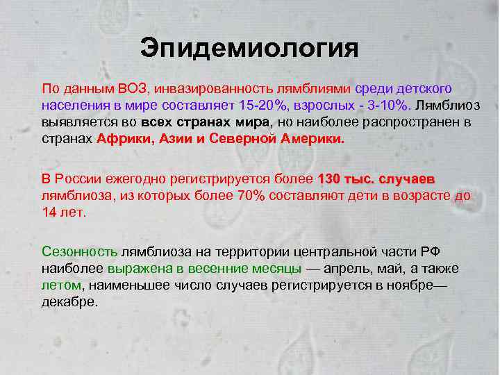 Эпидемиология По данным ВОЗ, инвазированность лямблиями среди детского населения в мире составляет 15 -20%,
