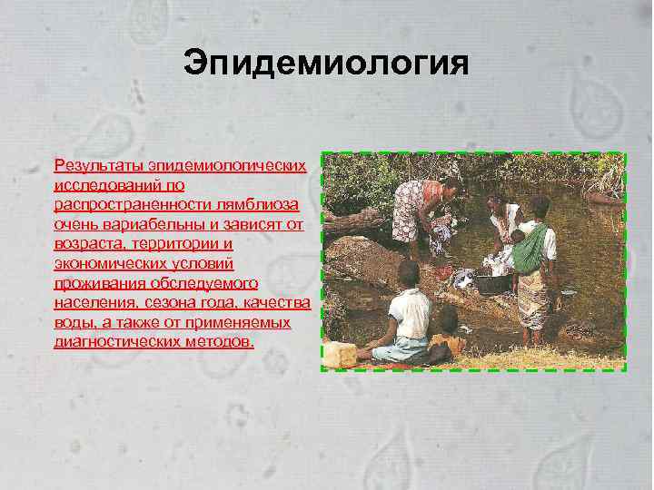 Эпидемиология Результаты эпидемиологических исследований по распространенности лямблиоза очень вариабельны и зависят от возраста, территории