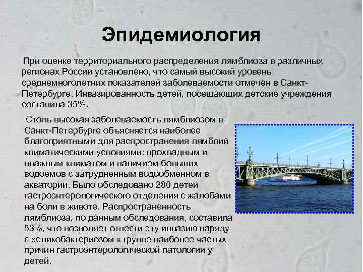 Эпидемиология При оценке территориального распределения лямблиоза в различных регионах России установлено, что самый высокий