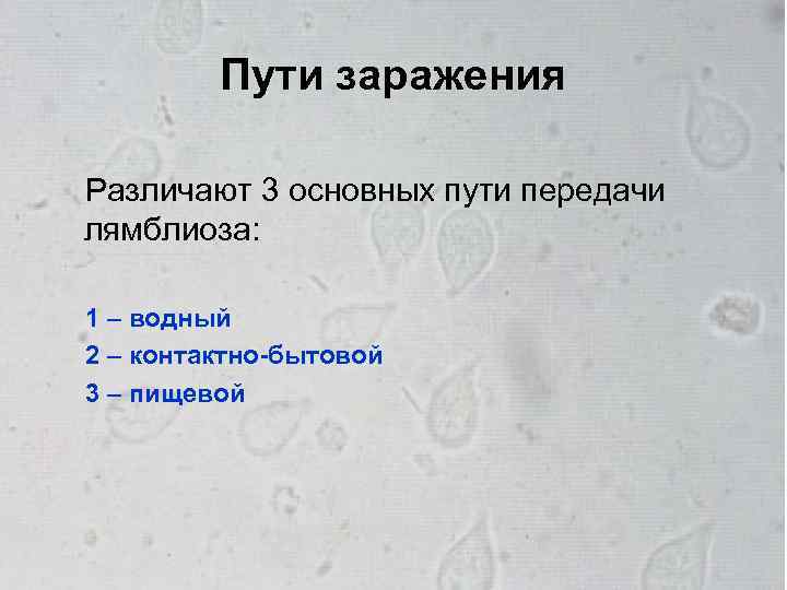 Пути заражения Различают 3 основных пути передачи лямблиоза: 1 – водный 2 – контактно-бытовой