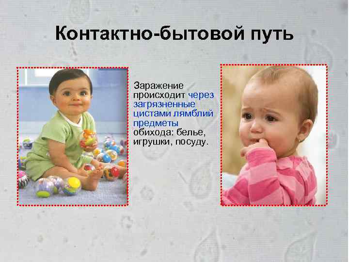 Контактно-бытовой путь Заражение происходит через загрязненные цистами лямблий предметы обихода: белье, игрушки, посуду. 
