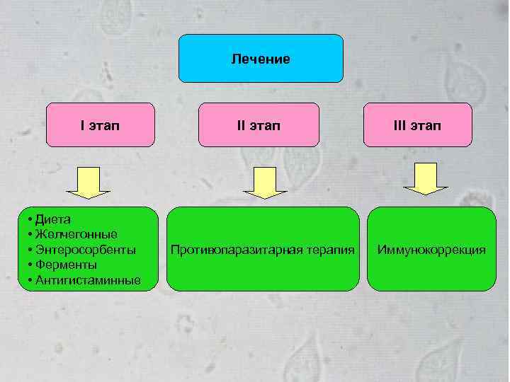 Лечение I этап • Диета • Желчегонные • Энтеросорбенты • Ферменты • Антигистаминные II