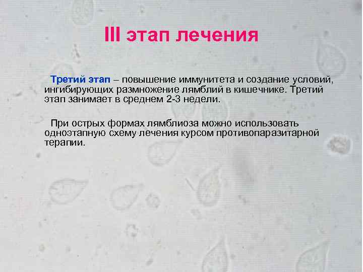 III этап лечения Третий этап – повышение иммунитета и создание условий, ингибирующих размножение лямблий