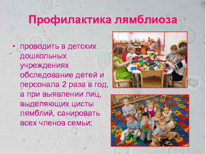 Профилактика лямблиоза • проводить в детских дошкольных учреждениях обследование детей и персонала 2 раза
