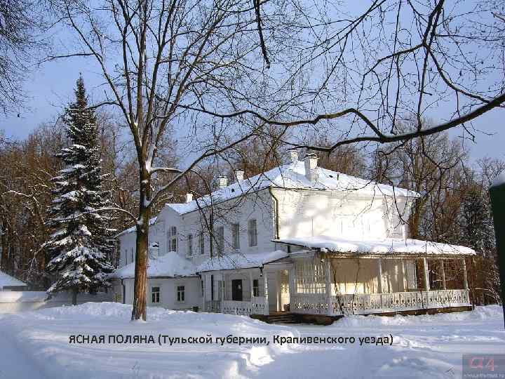 ЯСНАЯ ПОЛЯНА (Тульской губернии, Крапивенского уезда) 
