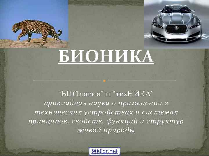 БИОНИКА “БИОлогия” и “тех. НИКА” прикладная наука о применении в технических устройствах и системах