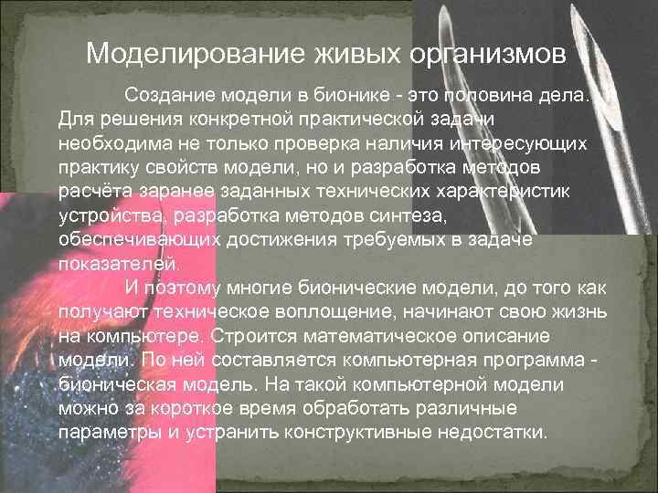 Моделирование живых организмов Создание модели в бионике - это половина дела. Для решения конкретной