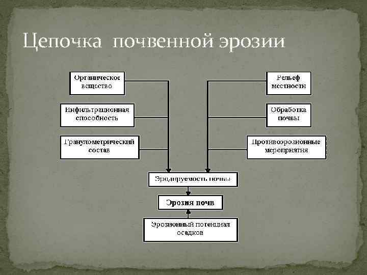 Цепочка почвенной эрозии 