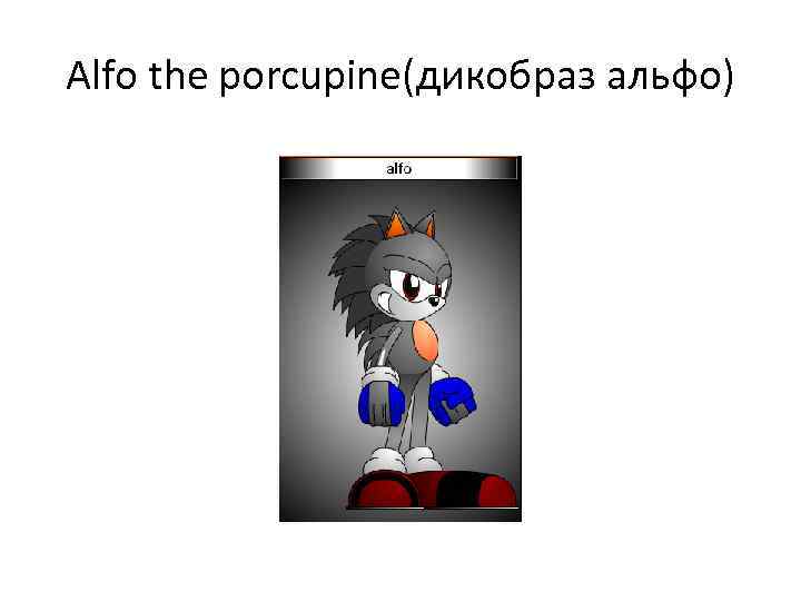 Alfo the porcupine(дикобраз альфо) 