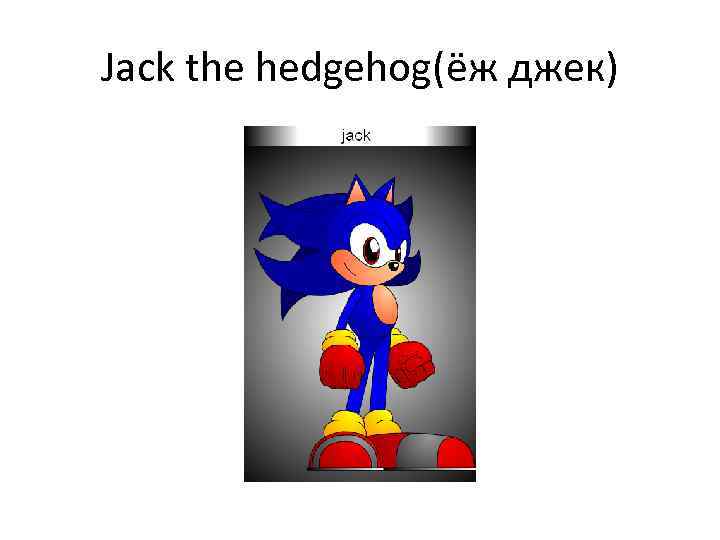 Jack the hedgehog(ёж джек) 