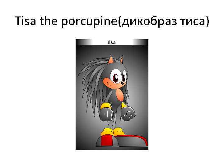 Tisa the porcupine(дикобраз тиса) 