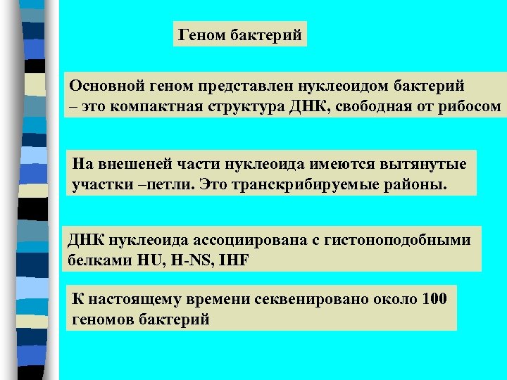 Геном бактерий Основной геном представлен нуклеоидом бактерий – это компактная структура ДНК, свободная от