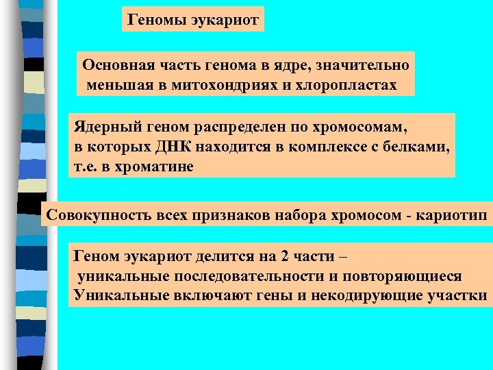 Геномы эукариот Основная часть генома в ядре, значительно меньшая в митохондриях и хлоропластах Ядерный