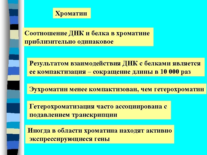 Хроматин Соотношение ДНК и белка в хроматине приблизительно одинаковое Результатом взаимодействия ДНК с белками