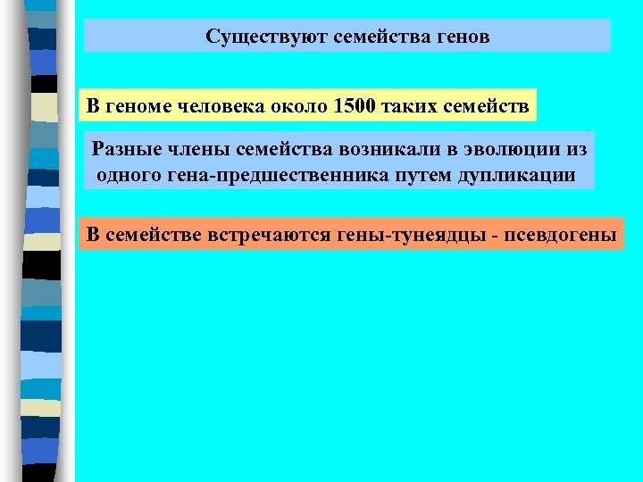 Существуют семейства генов В геноме человека около 1500 таких семейств Разные члены семейства возникали