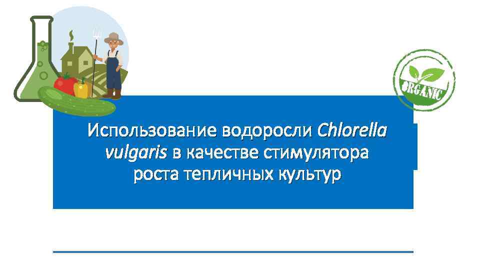 Использование водоросли Chlorella vulgaris в качестве стимулятора роста тепличных культур 