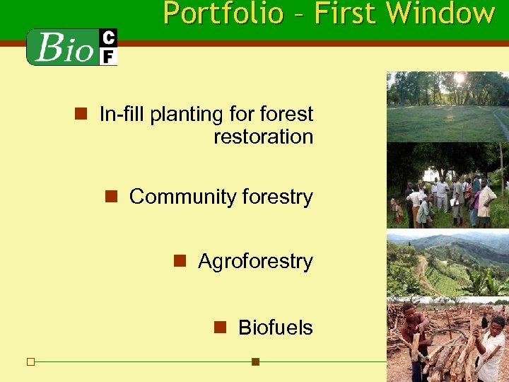 Portfolio – First Window n In-fill planting forestoration n Community forestry n Agroforestry n