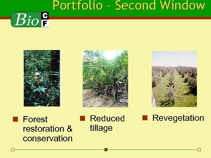 Portfolio – Second Window n Reduced n Forest tillage restoration & conservation n Revegetation