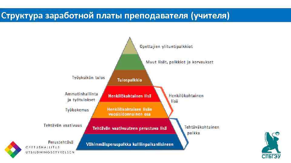 Структура заработной платы. Структура заработной платы учителя. Структура заработной платы преподавателя. Структура заработной платы картинки. Структура зарплаты педагога.