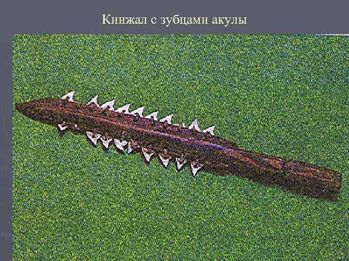 Кинжал с зубцами акулы 