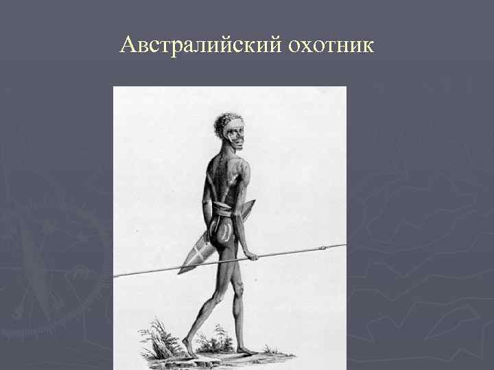 Австралийский охотник 