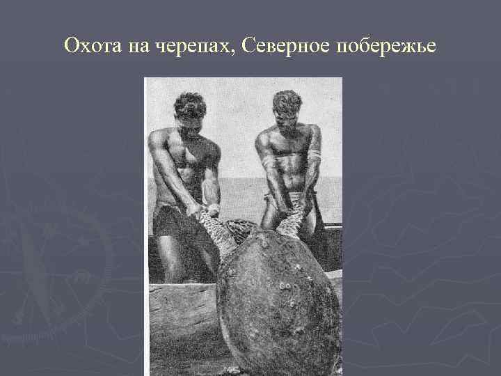 Охота на черепах, Северное побережье 