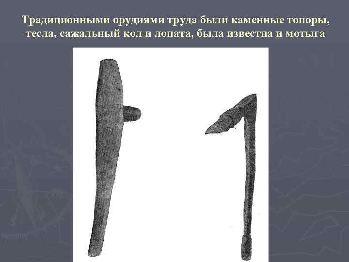 Традиционными орудиями труда были каменные топоры, тесла, сажальный кол и лопата, была известна и