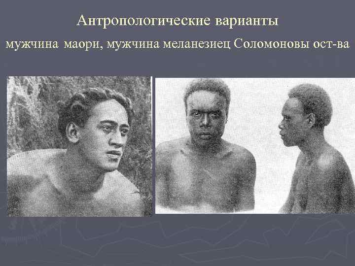 Антропологические варианты мужчина маори, мужчина меланезиец Соломоновы ост-ва 