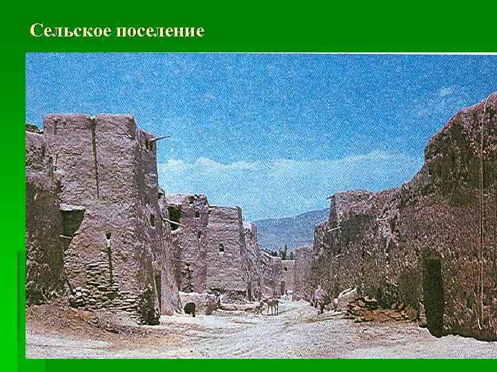 Сельское поселение 