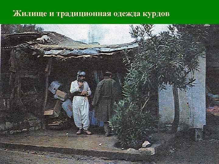 Жилище и традиционная одежда курдов 