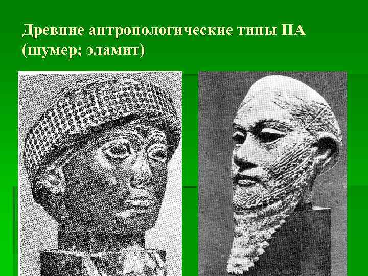 Древние антропологические типы ПА (шумер; эламит) 