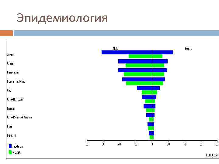 Эпидемиология 